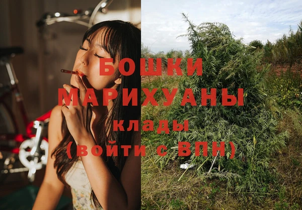 ПСИЛОЦИБИНОВЫЕ ГРИБЫ Верхний Тагил