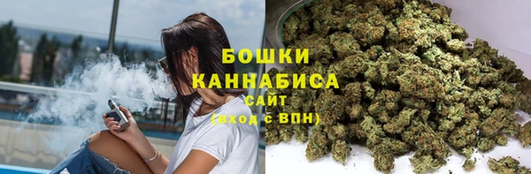 ПСИЛОЦИБИНОВЫЕ ГРИБЫ Верхний Тагил