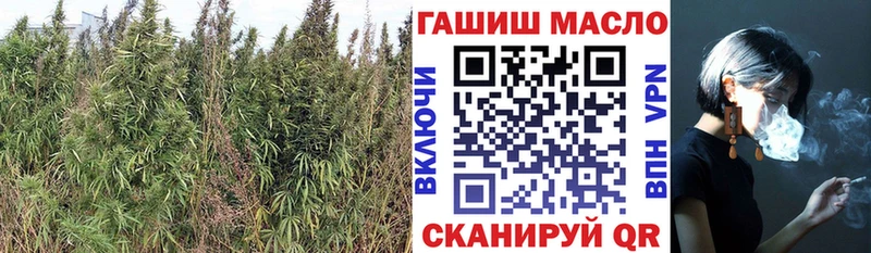 ОМГ ОМГ ССЫЛКА  Липецк  ТГК концентрат  где купить  